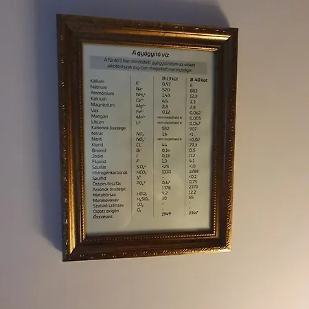 Harmony Apartment